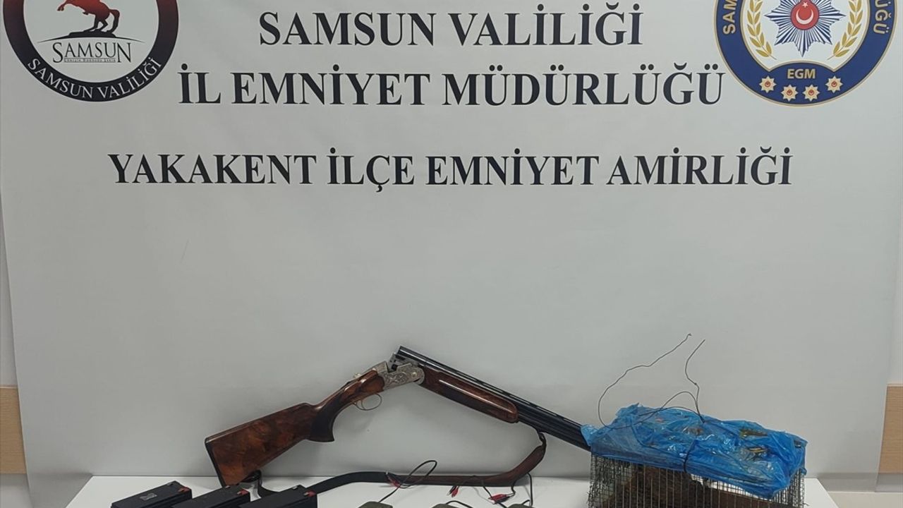 Samsun Yakakent'te bıldırcınla düzenek kurarak kaçak avcılık yapan şüpheliye işlem