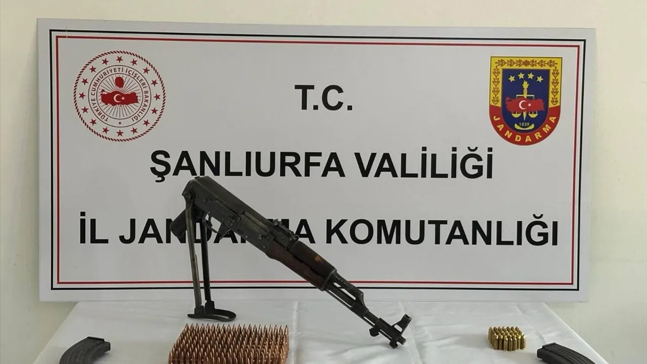 Şanlıurfa'da silah kaçakçılığı operasyonu: 1 gözaltı, cephane ele geçirildi