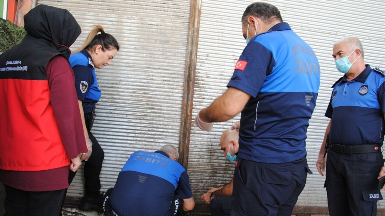 Şanlıurfa'da zabıta denetiminde yaklaşık 1 ton bozulmuş et ele geçirildi