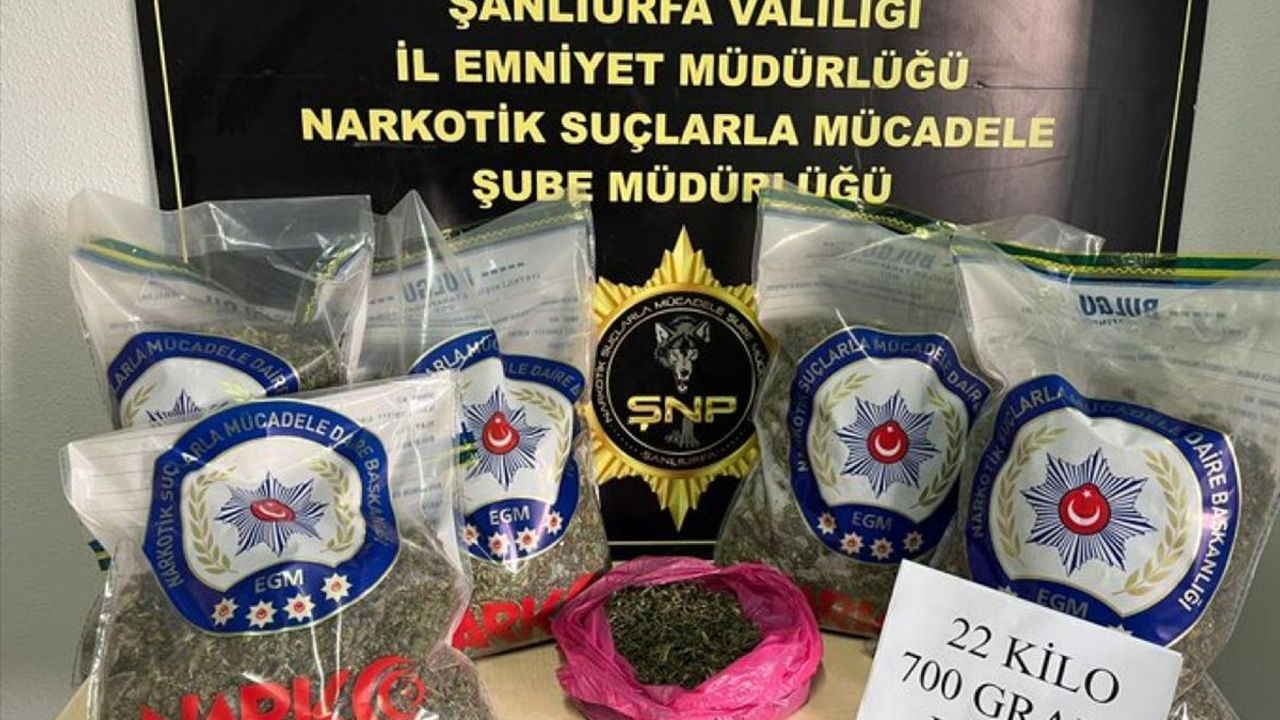 Şanlıurfa Suruç'ta 22 kilo 700 gram esrar ele geçirildi; 2 şüpheli gözaltında
