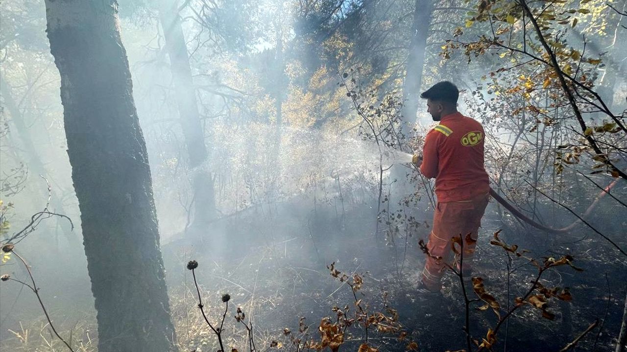 Sarıkamış'ta örtü yangını söndürüldü; yaklaşık 1 hektar zarar gördü