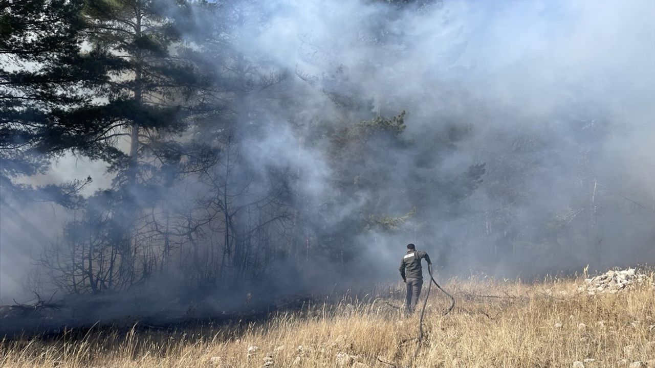Sarıkamış’ta örtü yangını: Yaklaşık 1 hektarlık ormanlık alan zarar gördü