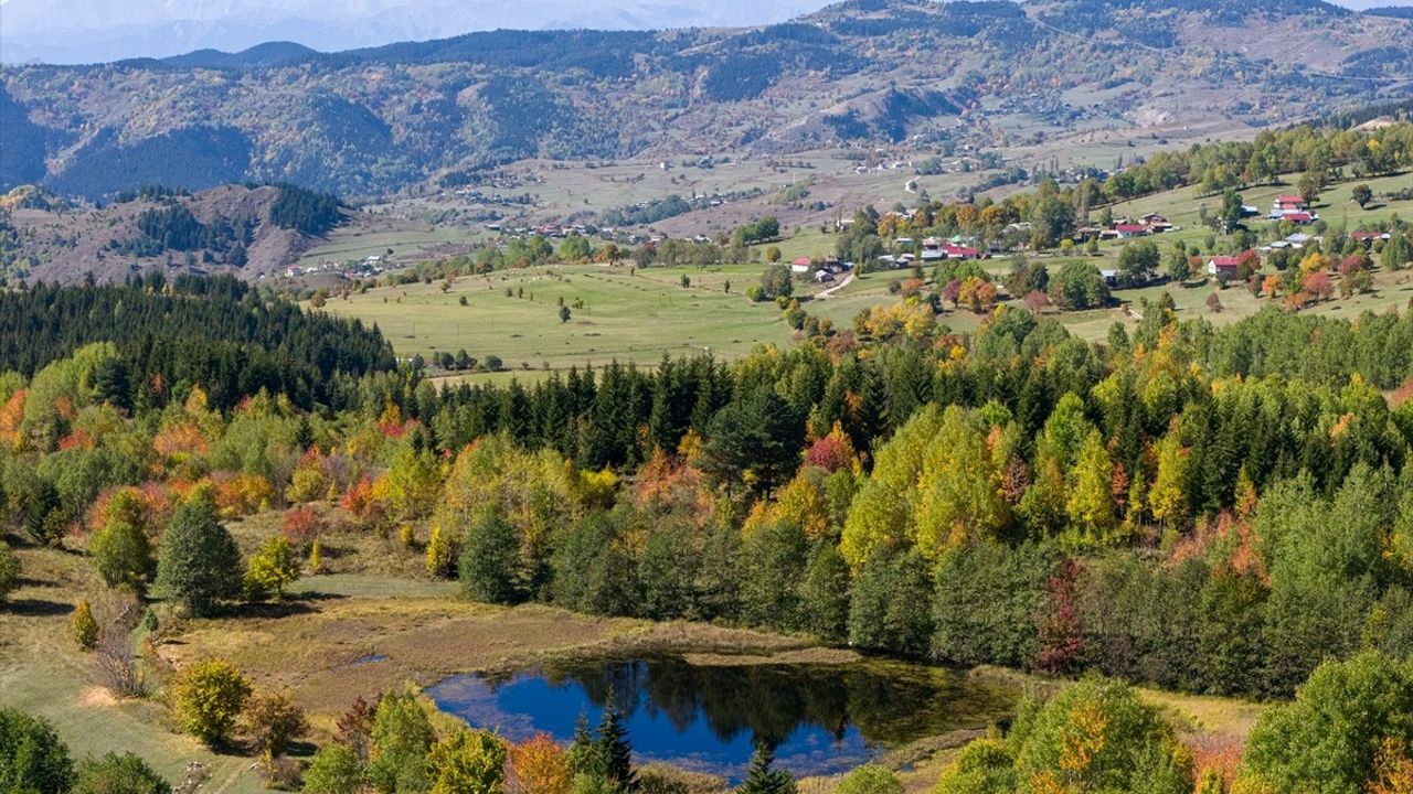 Şavşat'ta sonbahar: 'Sakin şehir' doğanın renkleriyle ziyaretçi çekiyor