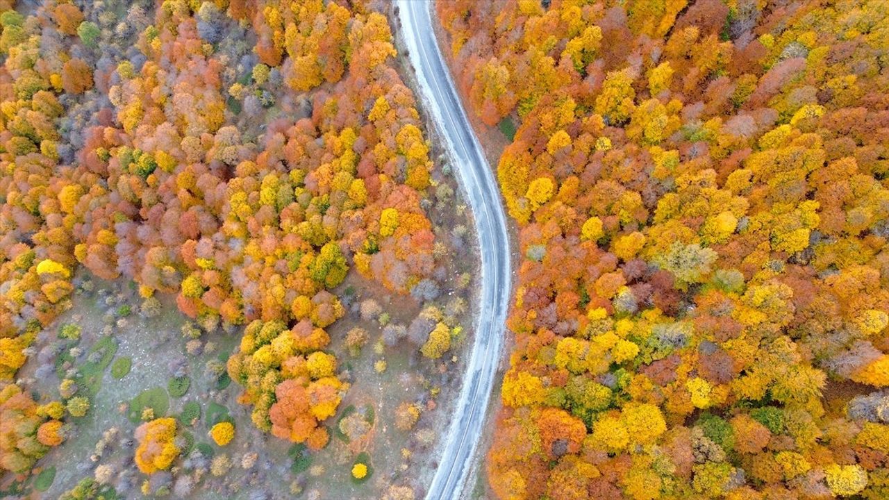 Şebek Geçidi'nde Sonbaharın Renkleri Dronla Görüntülendi