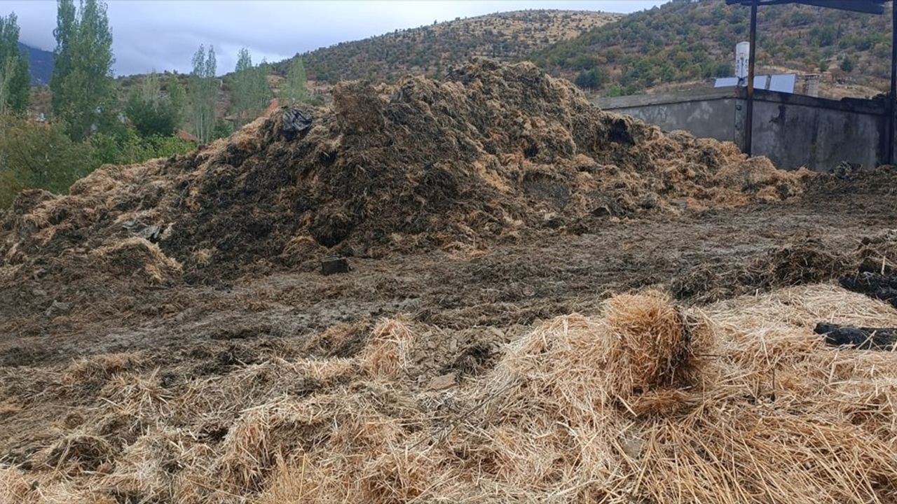 Seydişehir'de samanlık yangını: 20 ton saman yandı, baba ve oğlu yaralandı