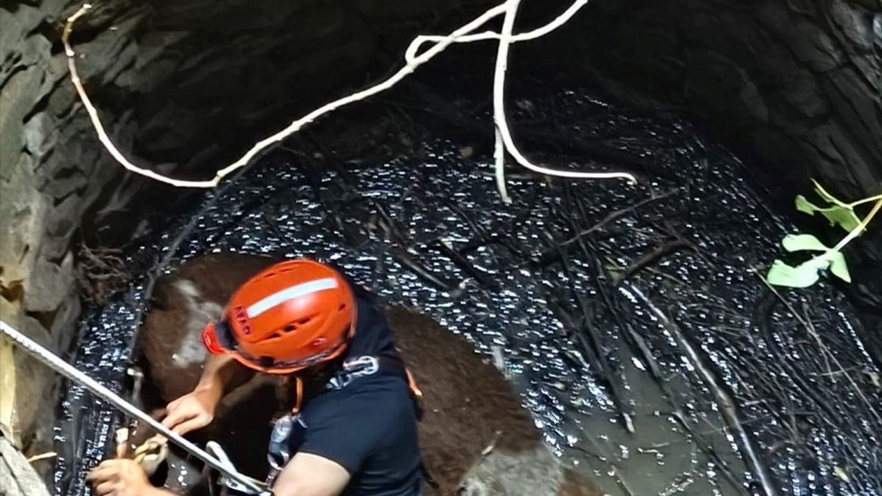 Siirt'te 8 metre derinliğindeki su kuyusuna düşen inek kurtarıldı