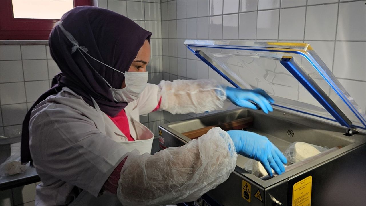 Sındırgı'da Butik Mandıra Üretime Başladı: Kadın İstihdamı ve '50 Peynirli Şehrim' Vizyonu