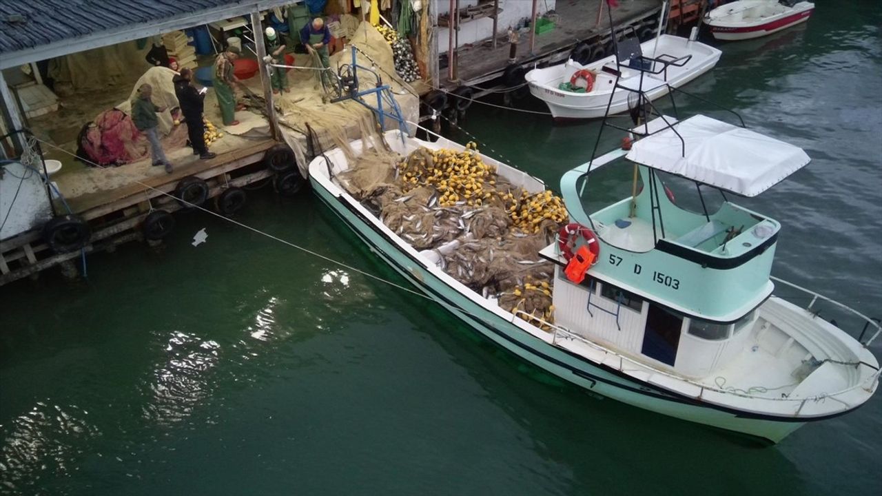 Sinop Türkeli'de balıkçılar bir gecede 3 bin 200 palamut avladı