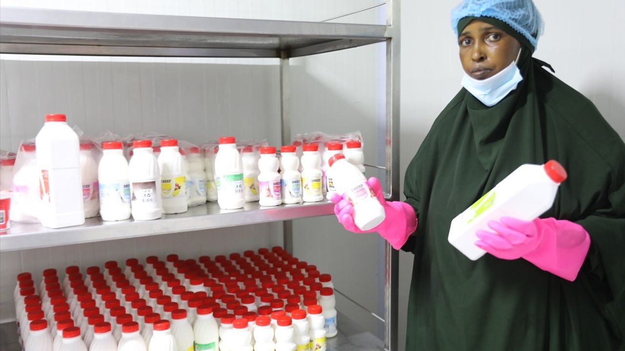 Somali'de kadın girişimi 'Dheef': Üretim, eğitim ve dayanışmayla ekonomik güçlenme