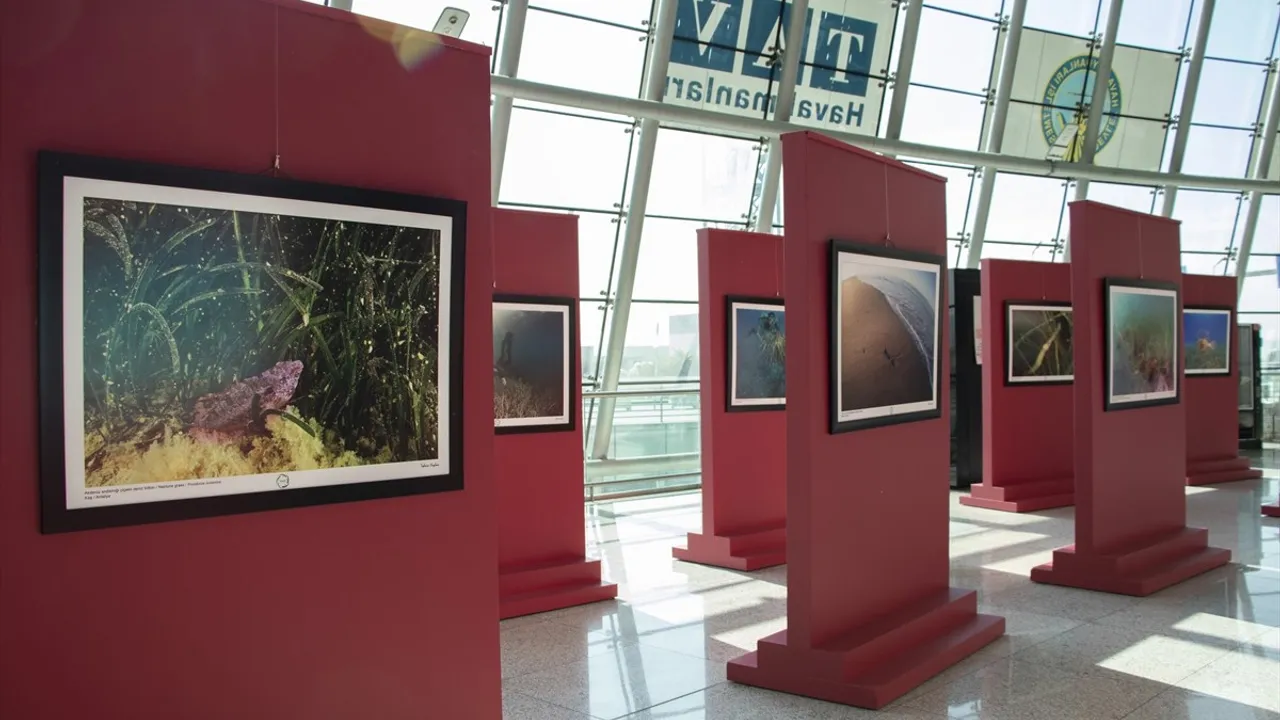 Tahsin Ceylan'ın 'Akdeniz'de Nesli Tehlike Altında Olan Türler' Sergisi Ankara'da Açıldı