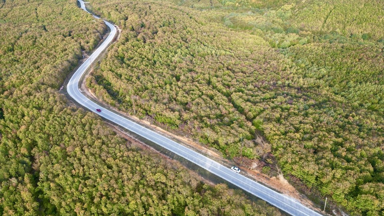 Tekirdağ Saray ormanlarında sonbahar renkleri: Kanara Kanyonu'nda gürgen ve meşe ağaçları