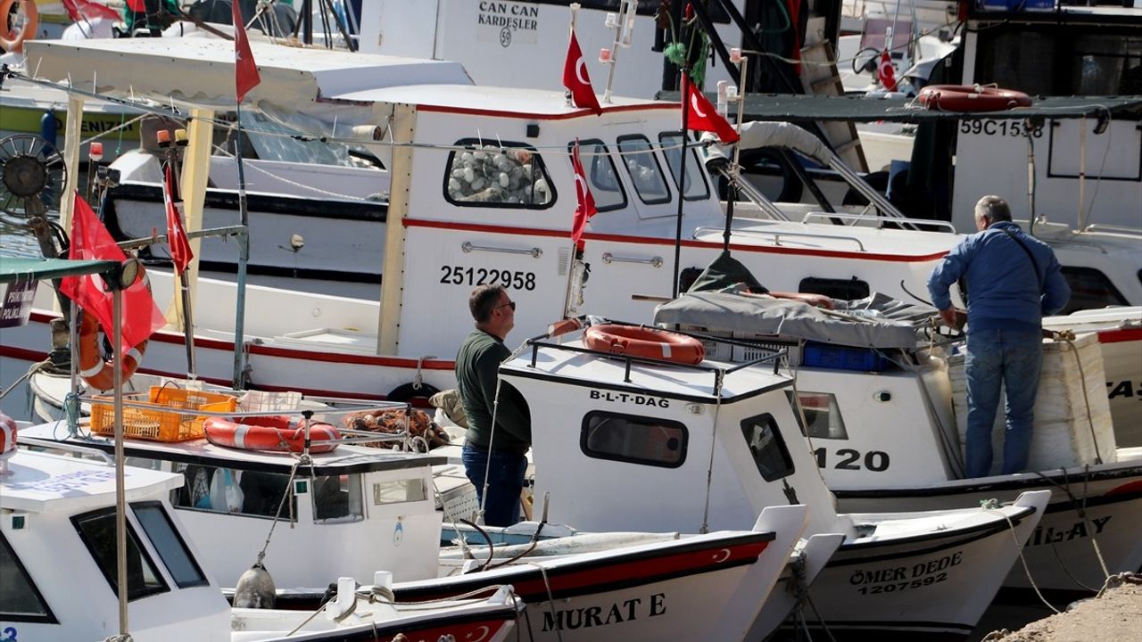 Tekirdağlı balıkçılar soğuyan havayla lüfer ve palamutun dönmesini bekliyor