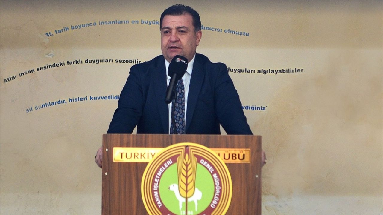 TİGEM müzayedesinde 'Hızlı Yasin' 10 milyon 500 bin liraya satıldı — Rekor gelir 54 milyon 200 bin lira