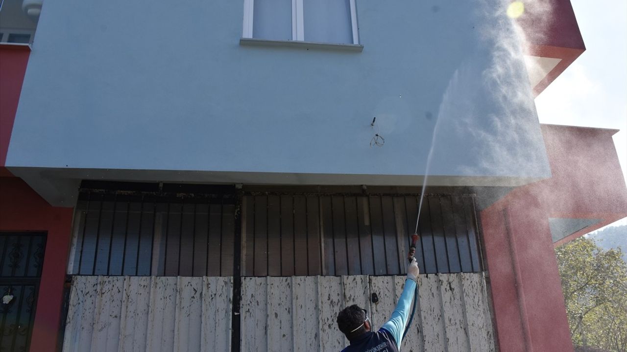 Trabzon'da kahverengi kokarca mücadelesi sürüyor: Arsin'de ilaçlama ve tuzak uygulamaları