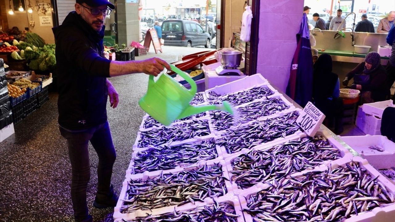 Trabzon Ortahisar'da hamsinin kilogramı 100 TL; balık fiyatları belli oldu