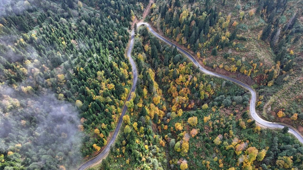 Trabzon'un Yüksek Kesimleri Sonbahar Renklerine Büründü: Sisirna ve Karadağ Yaylaları