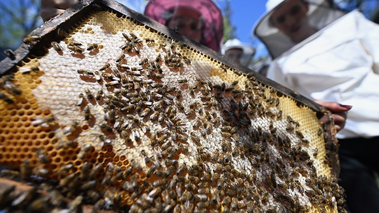 TÜBİTAK destekli projeyle özel gereksinimli gençler arıcılıkla buluştu