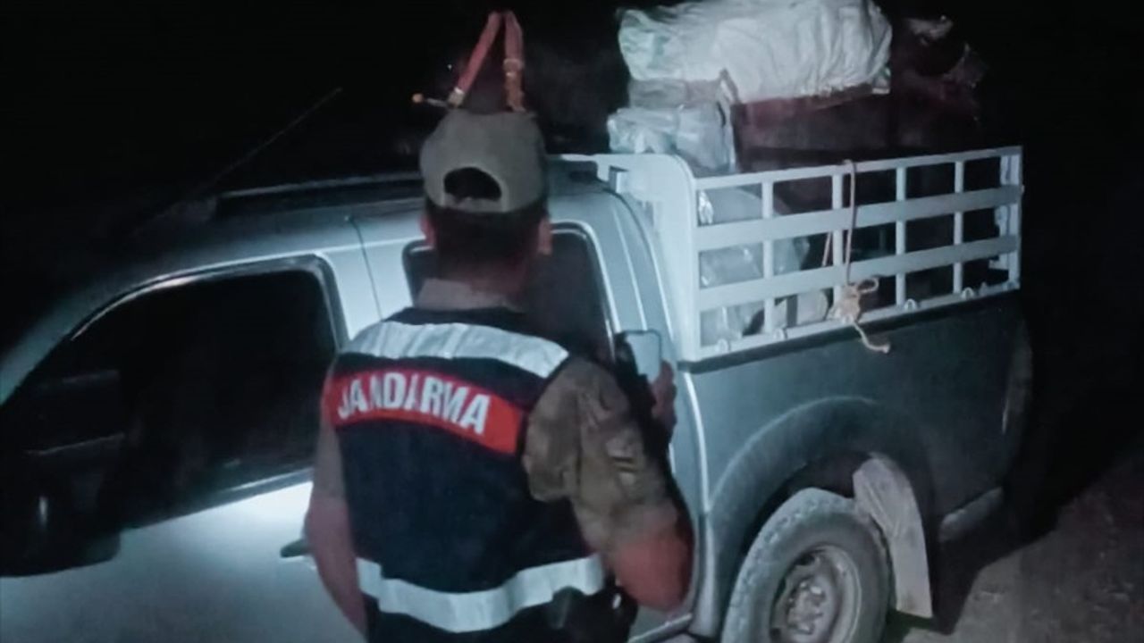 Tunceli'de 200 kg endemik dağ sarımsağı ele geçirildi, şüpheliye 557 bin lira ceza