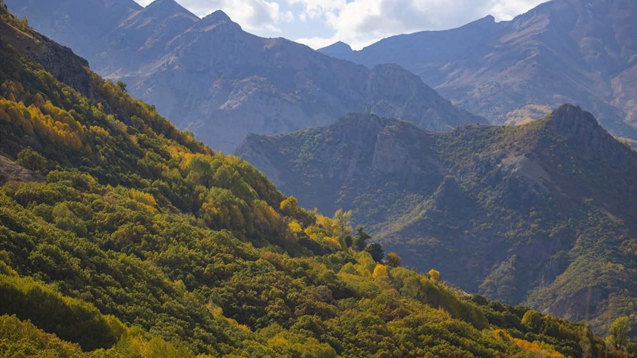 Tunceli zirvelerinde sonbahar renkleri: Ovacık, Pülümür ve Nazımiye ormanları