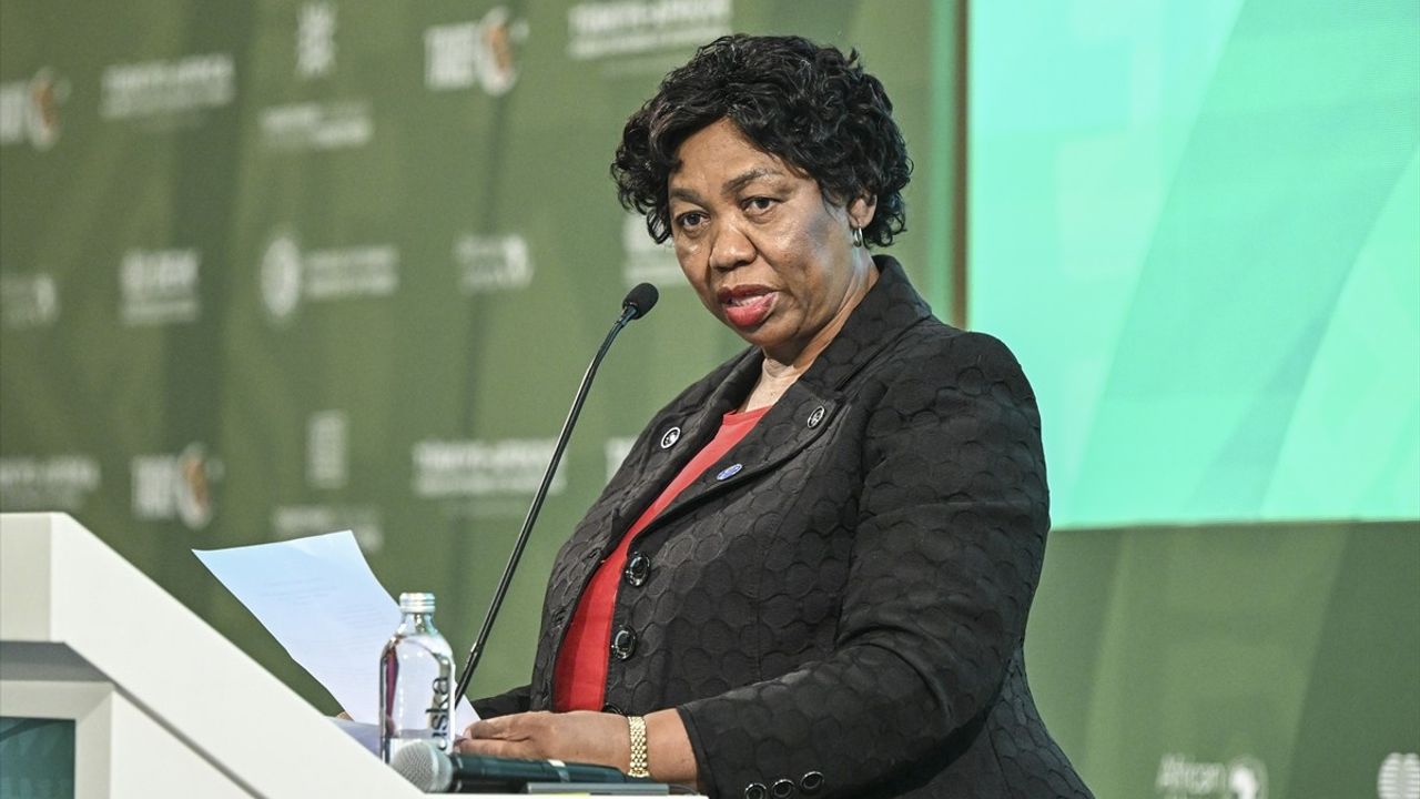 Türkiye-Afrika Forumu'nda Türkiye-Güney Afrika İlişkileri: DEİK Başkanı Salim'in Mesajı