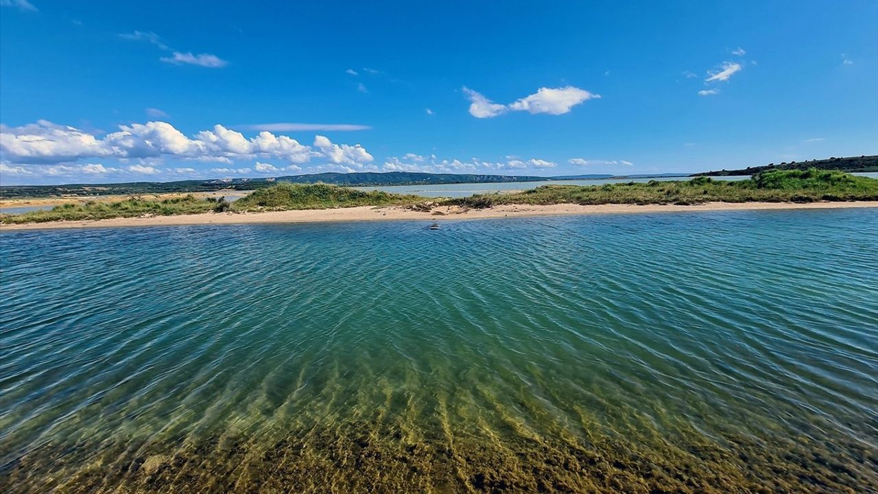 Türkiye'de 5 Alan 'Mahalli Öneme Haiz Sulak Alan' İlan Edildi