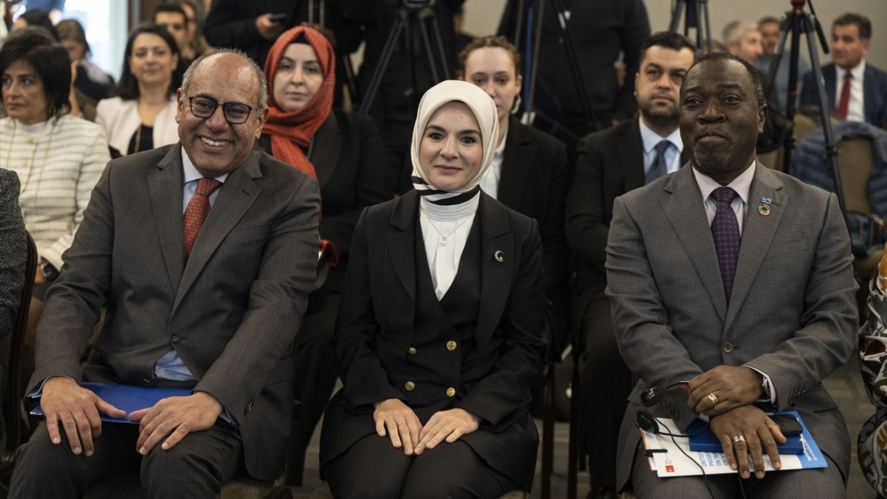 Türkiye'de Bakım Ekonomisinin Dönüştürücü Büyümesi: BM Ortak Programı Kapanış Toplantısı