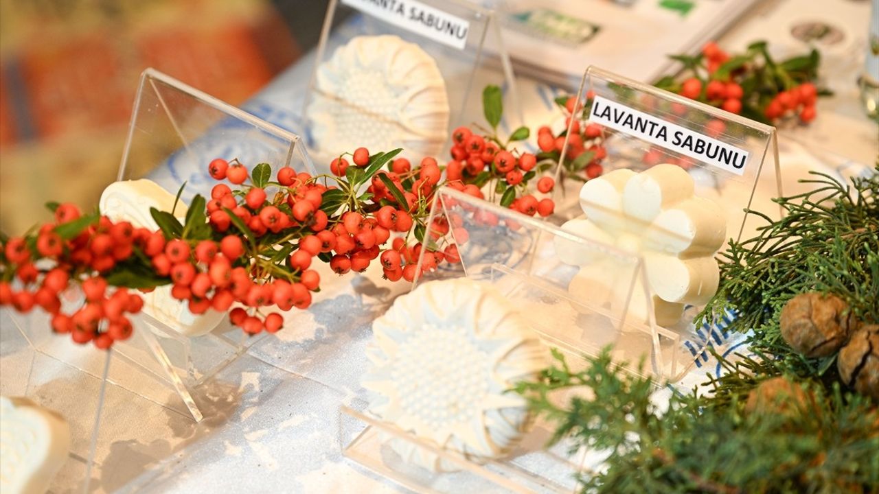 Türkiye'nin florası Avrupa kıtasına eşdeğer zenginlikte