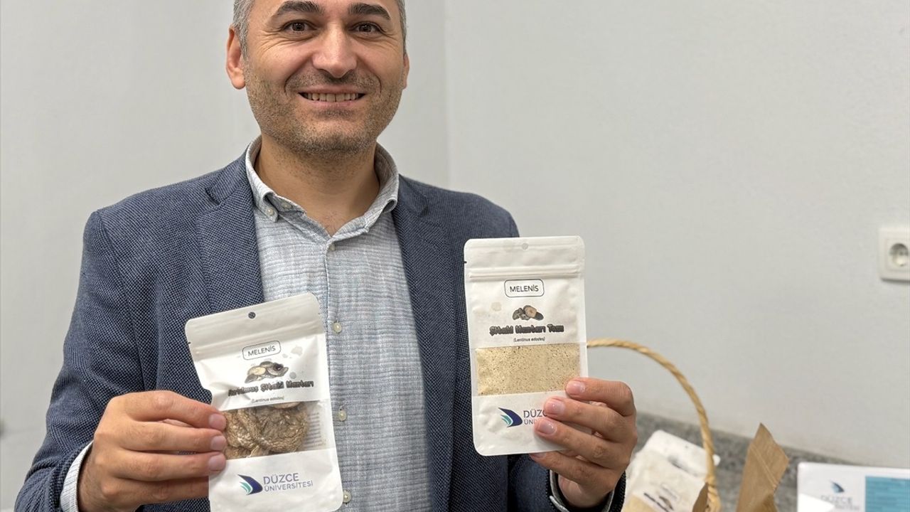 Uzmandan uyarı: Mantar zehirlenmesinde sağlık kuruluşuna giderken yediğiniz mantardan parça götürün