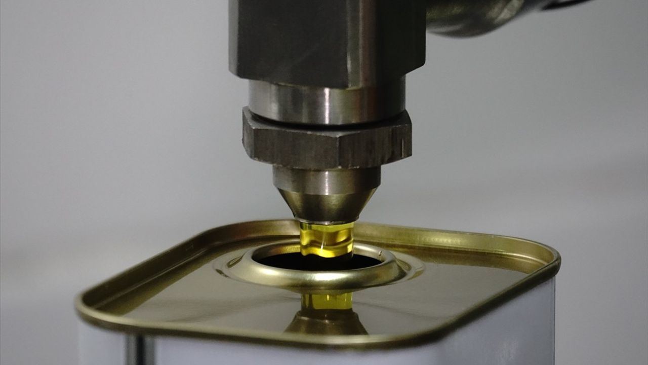 UZZK Başkanı Mustafa Tan: 2025-2026 sezonunda 2 milyon 450 bin ton zeytin rekoltesi bekleniyor