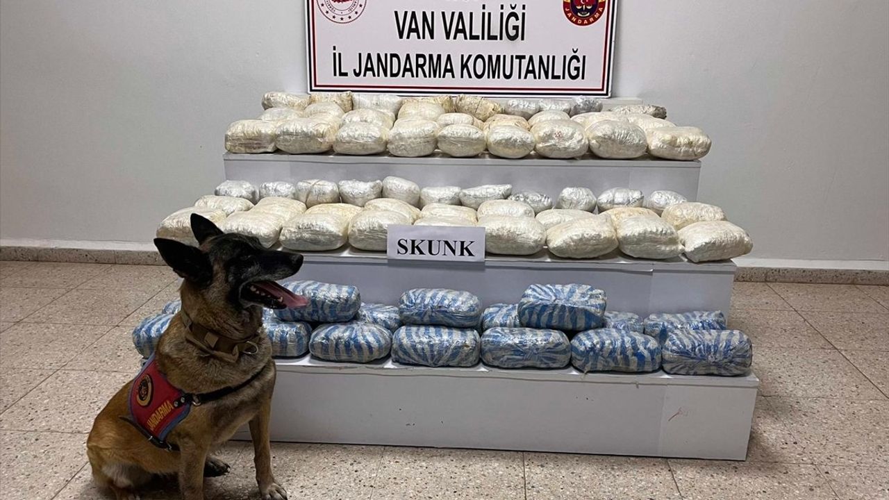 Van Başkale'de 47 kilo 800 gram skunk ele geçirildi