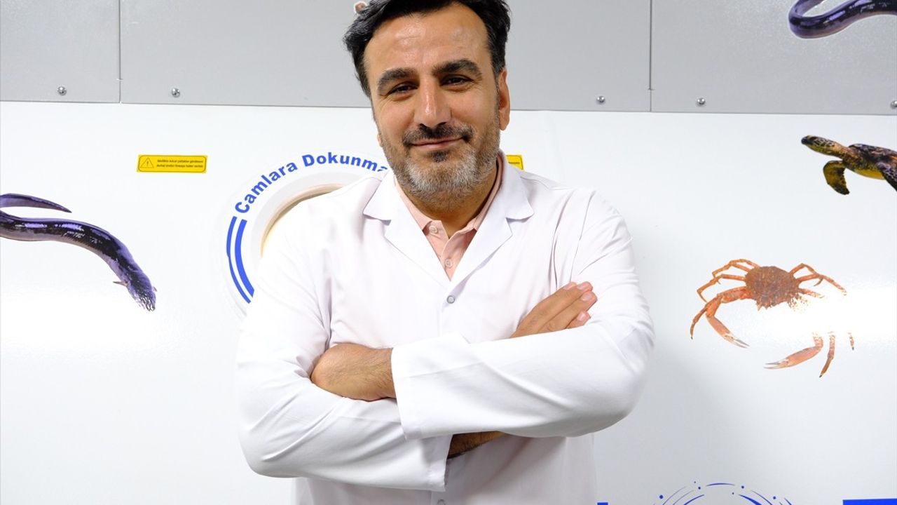 Van Eğitim ve Araştırma Hastanesi Hiperbarik Oksijen Tedavi Merkezi yeniden açıldı — Bölgeye acil ve kronik bakım hizmeti