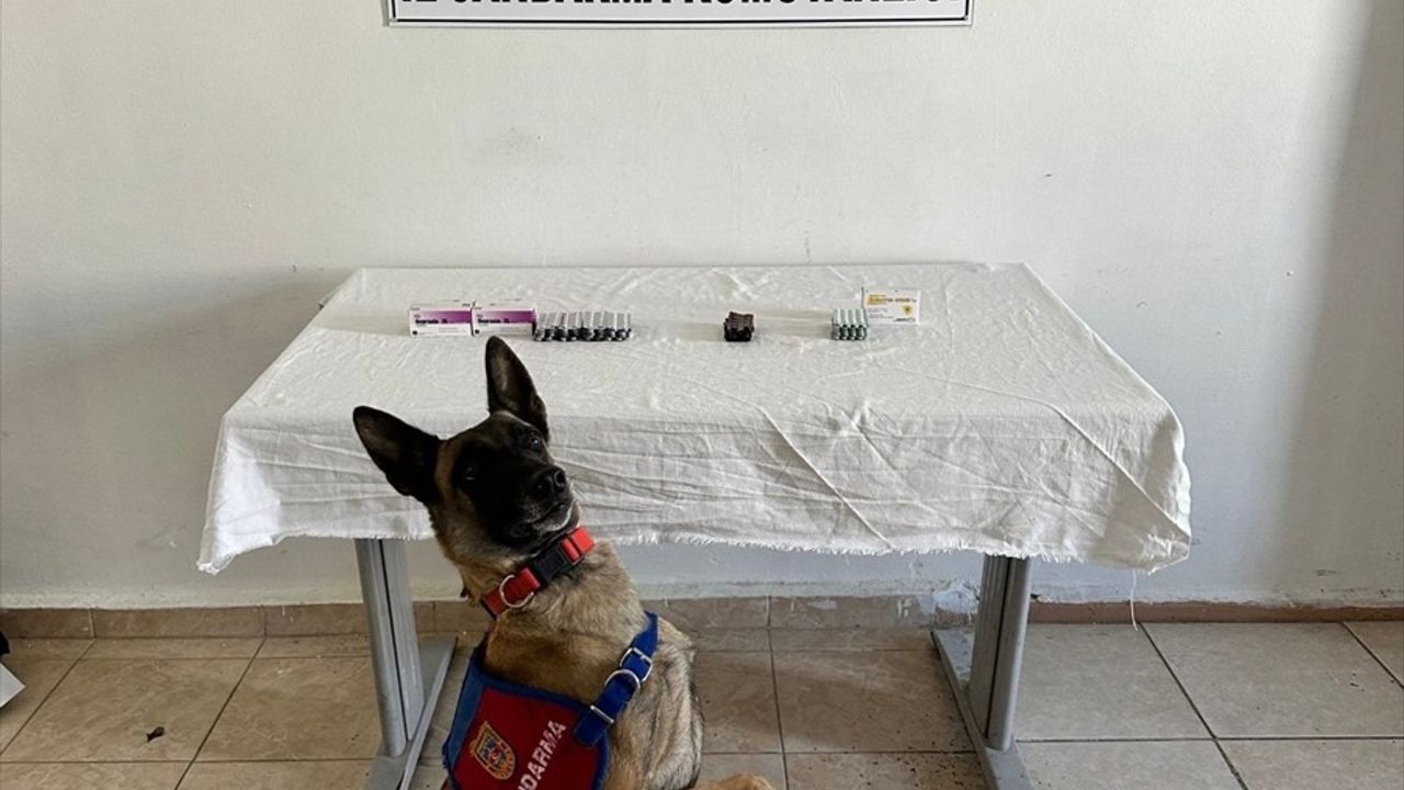 Van İpekyolu'nda yol kontrolünde İran uyruklu şüphelinin üzerinde 380 sentetik hap bulundu