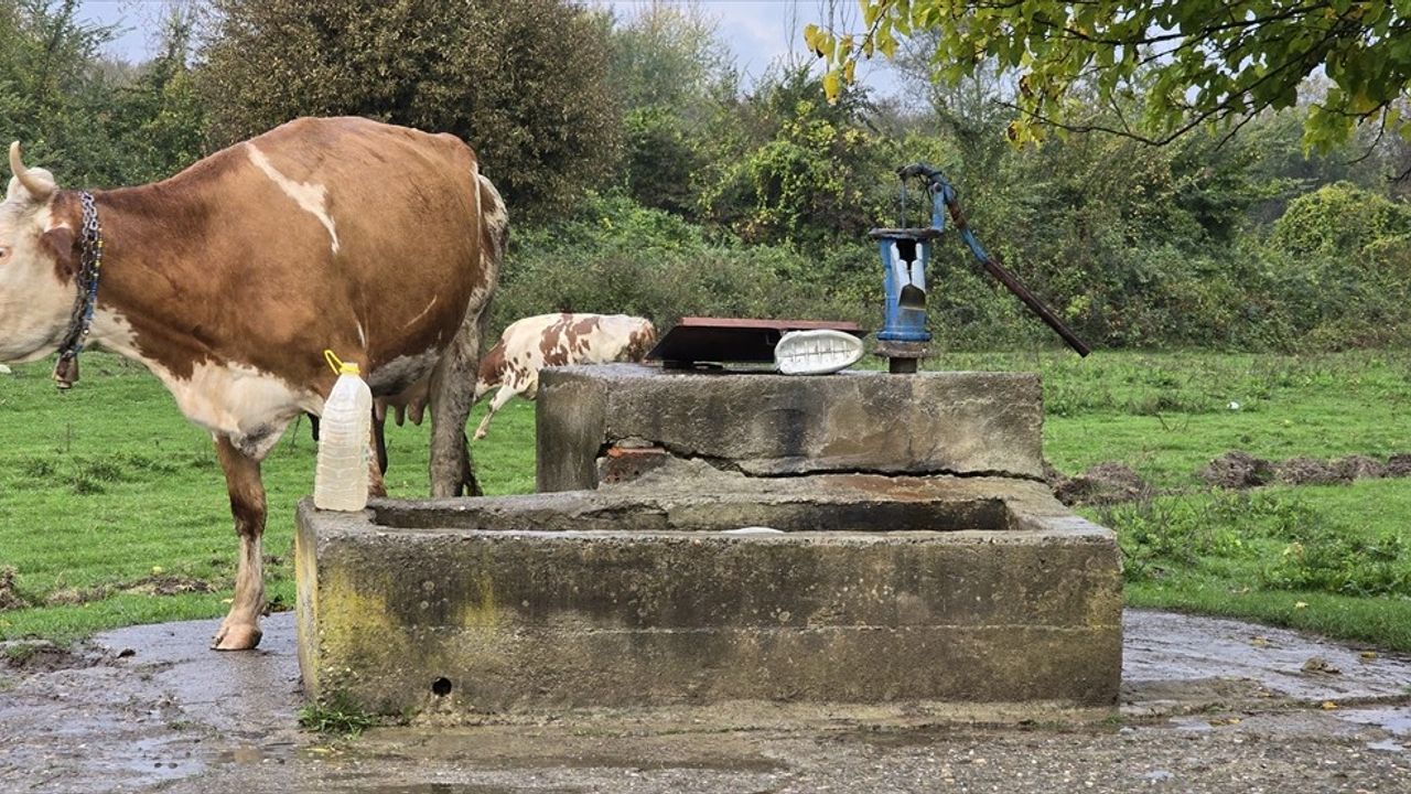 Zonguldak'ta 17 yaşındaki Hasret Akkuzu'nun ölümünde bir şüpheli Aydın'da yakalandı