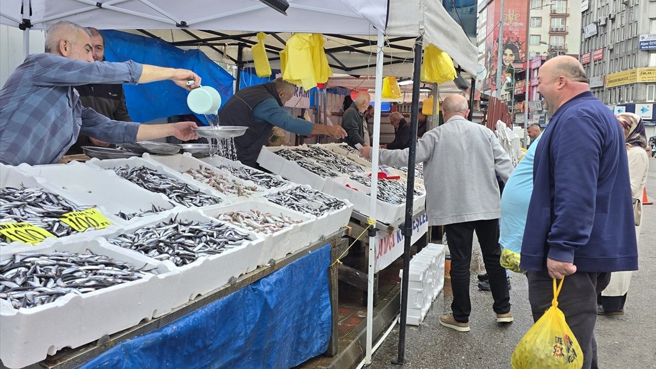 Zonguldak'ta hamsi bolluğu tezgahlarda fiyatları düşürdü