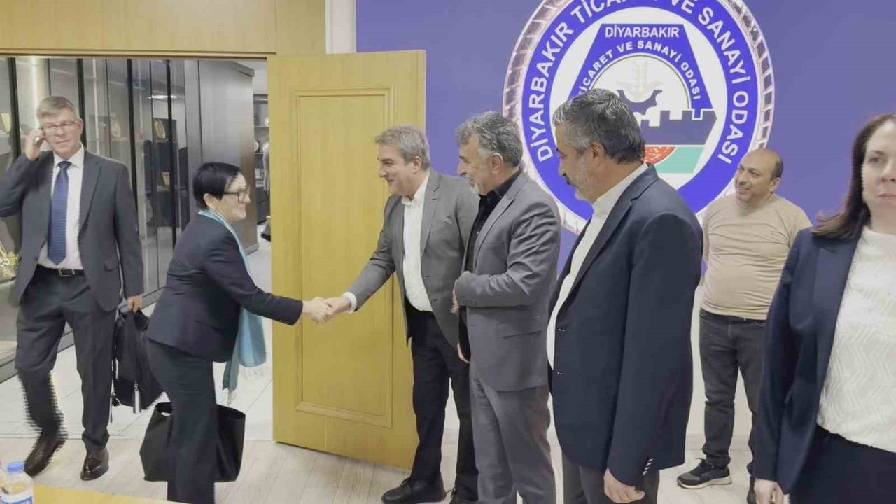 AB Türkiye Delegasyonu Heyeti Diyarbakır Ticaret ve Sanayi Odası'nı Ziyaret Etti