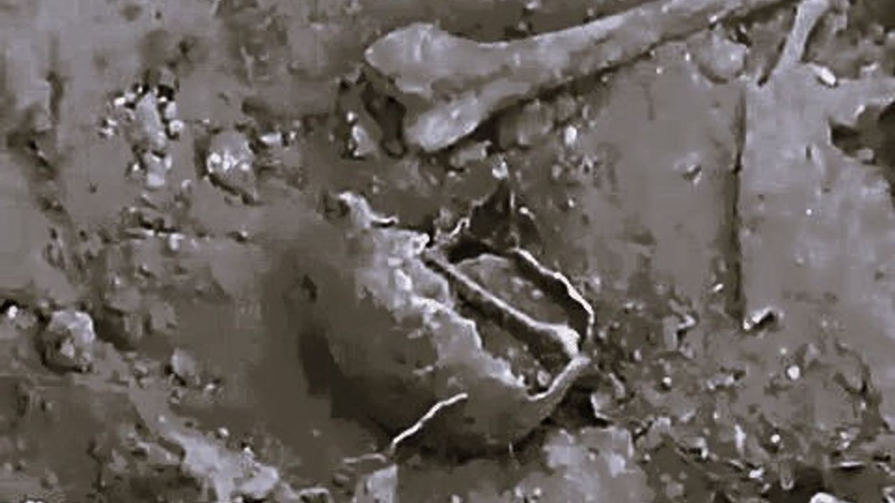 Acıpayam'da DSİ çalışması sırasında 5 toprak küpte insan kemikleri bulundu