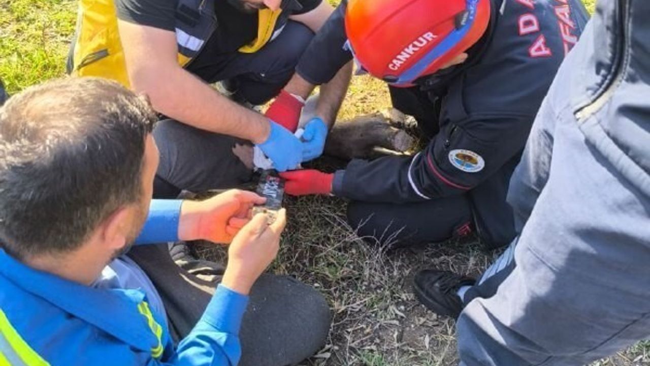 Adana Ceyhan'da motorlu testereye sıkışan kişi itfaiye tarafından kurtarıldı