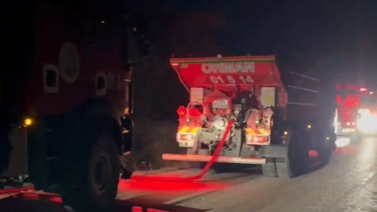 Adana Çukurova'da Gece Çıkan Orman Yangını Hızlı Müdahaleyle Söndürüldü