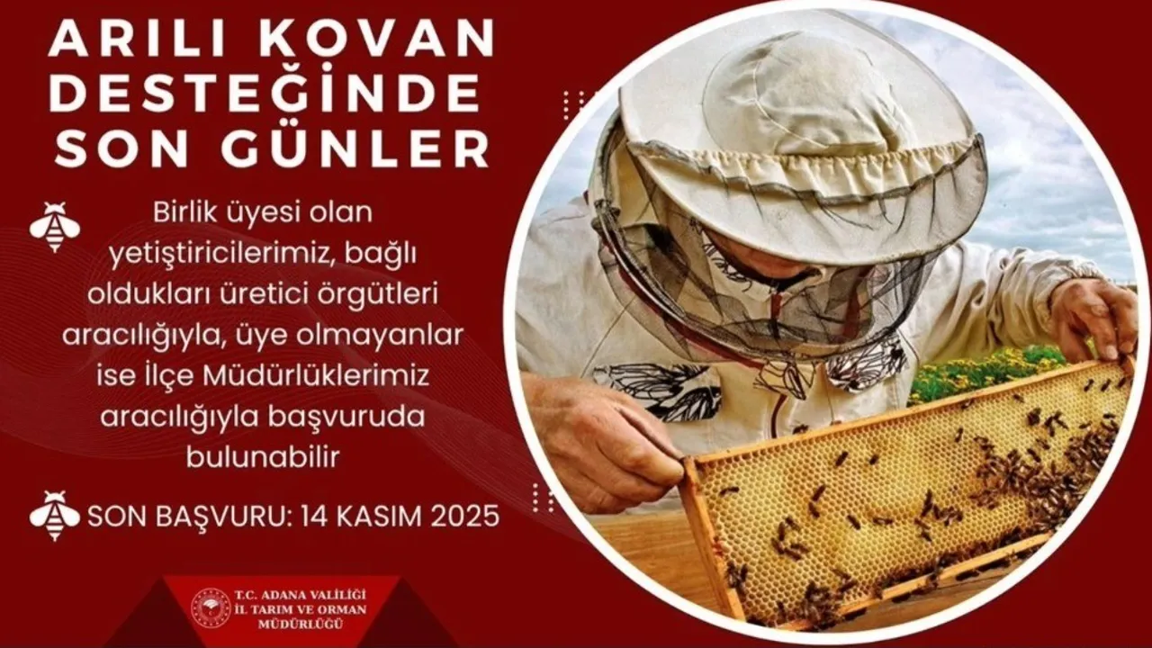Adana'da 'Arılı kovan' desteği başvuruları 14 Kasım 2025'te sona erecek