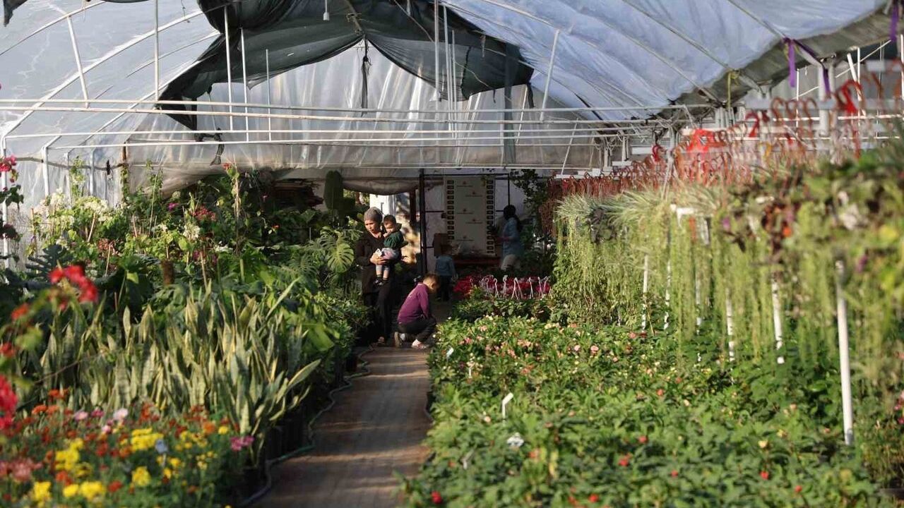 Adana'da Öğretmenler Günü öncesi saksı çiçeklerine talep arttı