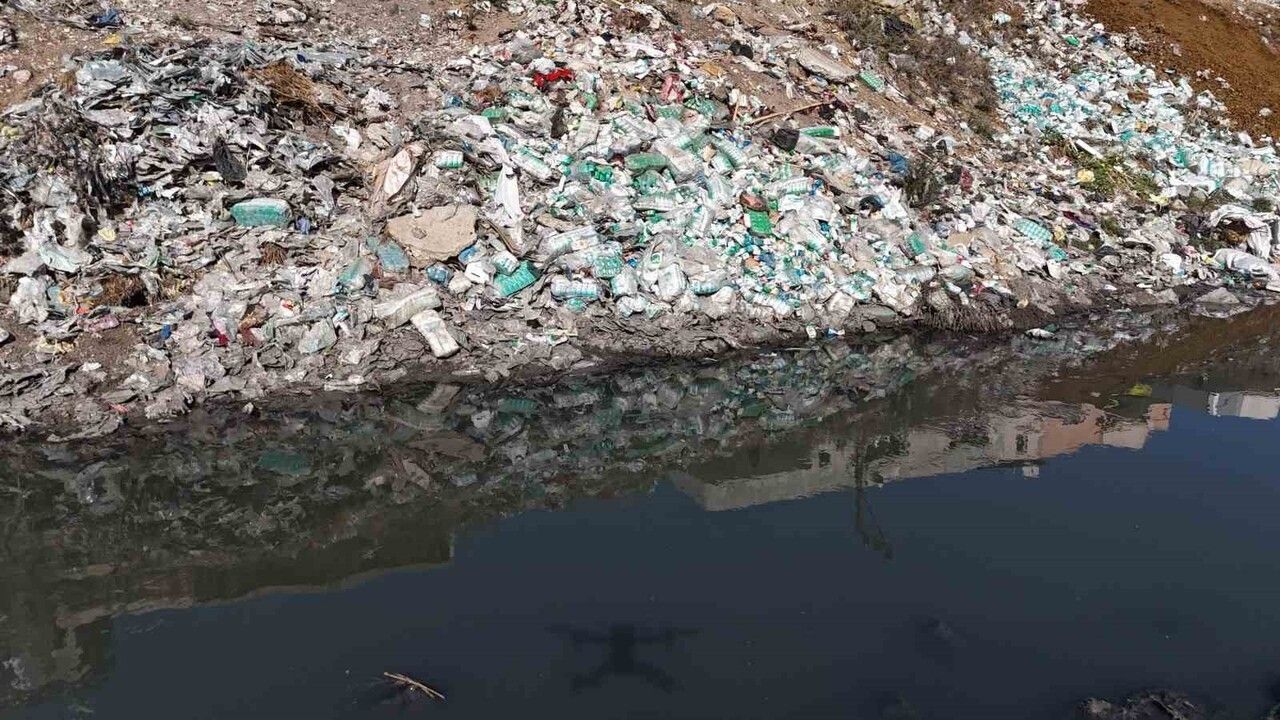 Adana Koza Mahallesi'nde açık atık su deresi çevre ve sağlık sorunlarına neden oluyor