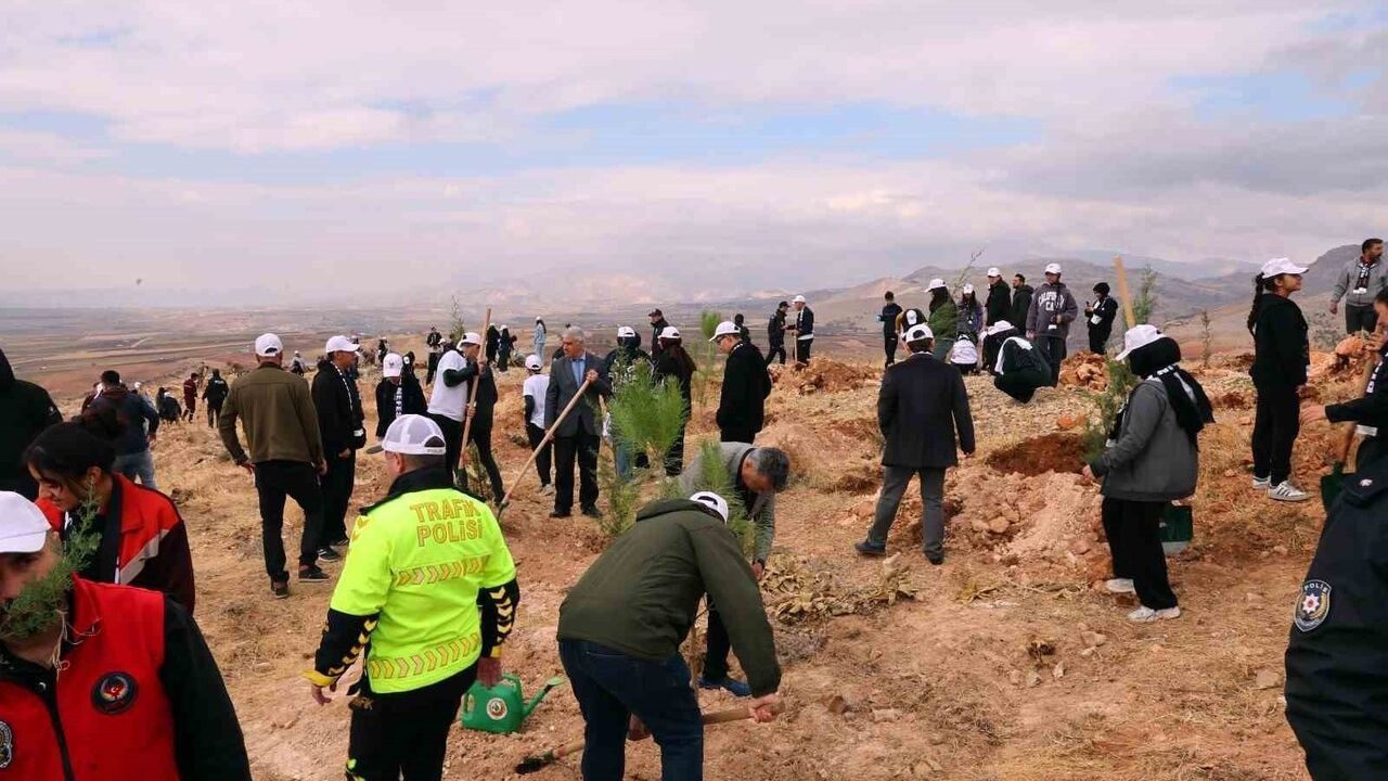 Adıyaman'da 150 fidan şehitler anısına Kayaönü köyünde dikildi