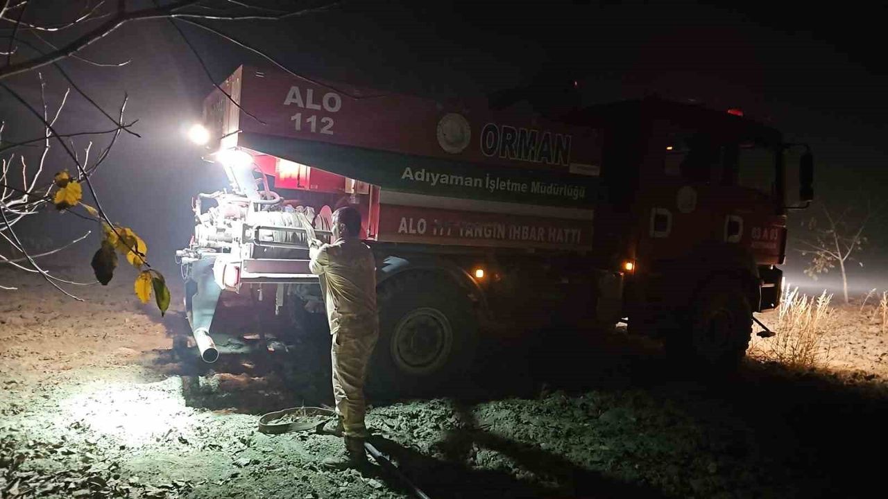 Adıyaman'da Sülüklü Göl çevresinde kamış yangını kontrol altına alındı