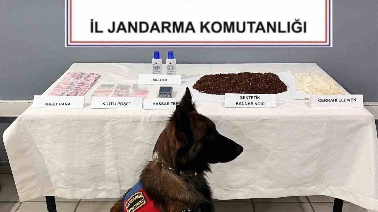 Afyonkarahisar'da 700 gram aseton yedirilmiş tütünle yakalanan 2 kişi tutuklandı