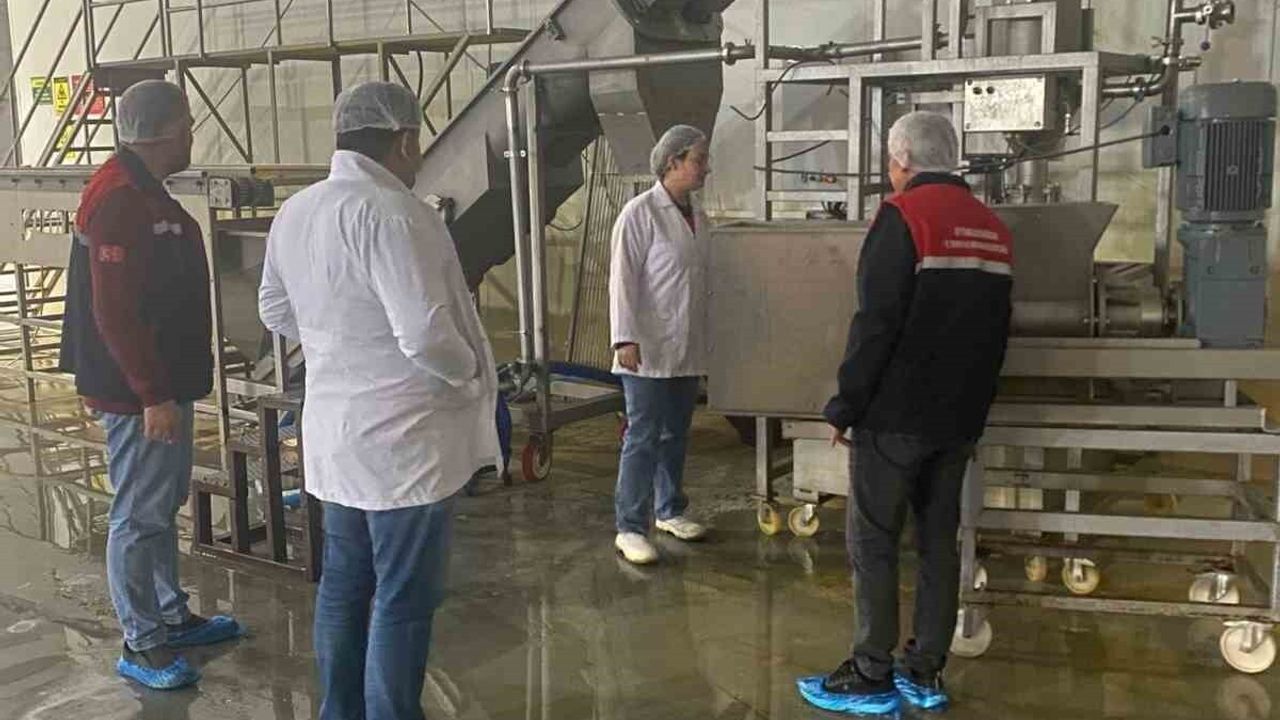 Afyonkarahisar'da Emirdağ'daki ihracata yönelik hayvansal yem tesisinde denetim