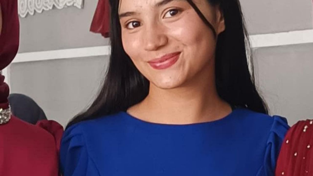 Ağrı Aşkale Köyü'nde ayçiçeği hasadı kazası: 14 yaşındaki Nursefa Samur yaşamını yitirdi