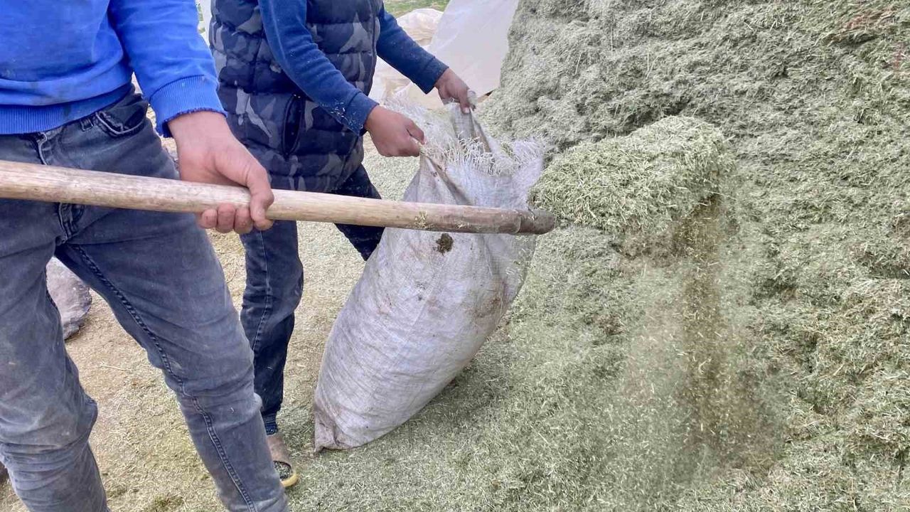 Ağrı'da besiciler kış öncesi saman stoku ve ticaretine yöneldi