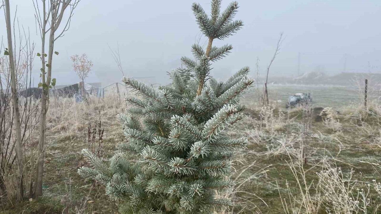 Ağrı Patnos’ta Gece Sıcaklıklarının Düşmesiyle Kırağı Oluştu