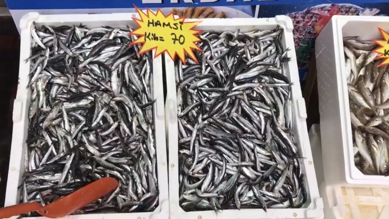Akçakoca Balıkçı Barınağı Başkanı uyardı: Buzhane balıklarına dikkat