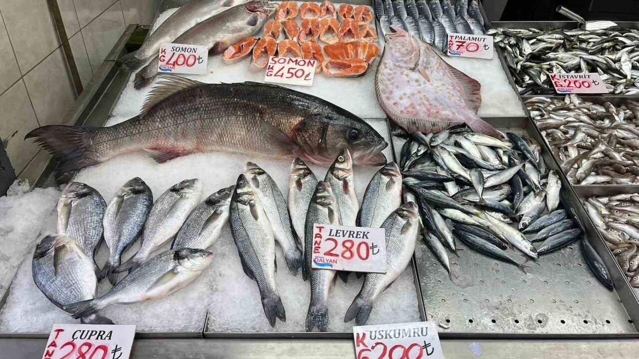 Akçakoca'da 7,5 kg levrek ve 2,5 kg kalkan kilosu 1.000 TL'den tezgaha çıktı